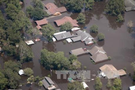 Nhìn lại thế giới 2017: Những sáng kiến giúp thế giới mạnh mẽ hơn