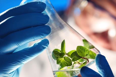 Chính phủ Hàn Quốc dự chi hàng trăm tỷ won cho công nghệ sinh học trong năm 2018