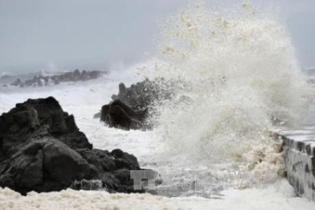 Tin mới nhất về bão số 1: Vùng tâm bão gió giật cấp 10