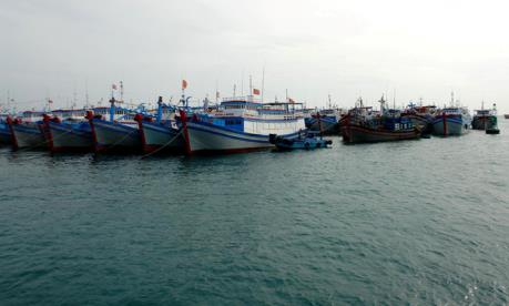 Phần lớn tàu thuyền Bình Thuận nằm ngoài vùng nguy hiểm của bão số 1