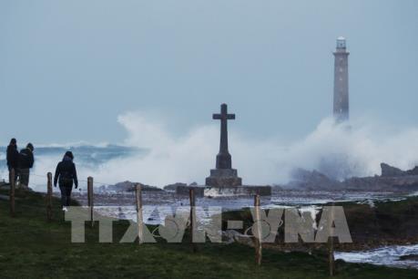 Bão mùa Đông gây thiệt hại nặng nề tại châu Âu