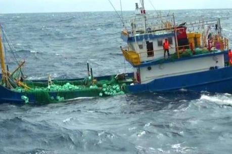 Tàu hàng đâm chìm tàu cá, 15 ngư dân được cứu sống