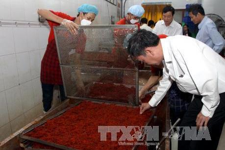 Tp Hồ Chí Minh thu giữ số lượng lớn thực phẩm bẩn, không rõ nguồn gốc  ​