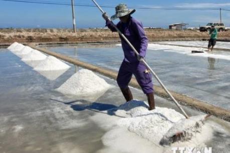 Bà Rịa-Vũng Tàu: Muối trễ vụ do thời tiết