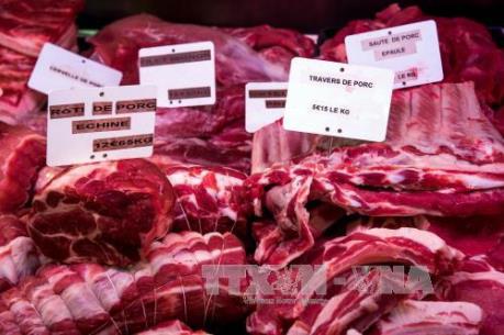 Nga cảnh báo có thể rút khỏi WTO