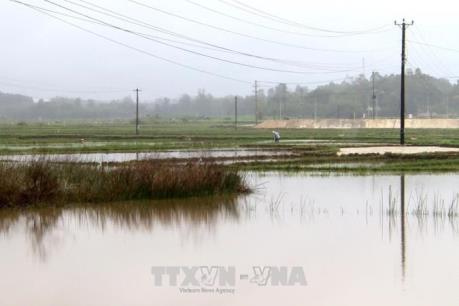 Mưa rét kéo dài khiến nông dân gặp khó khi xuống giống vụ Đông Xuân
