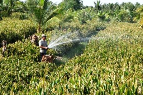 Nam bộ sẽ chuyển đổi trên 120.000 ha cây trồng trên đất lúa