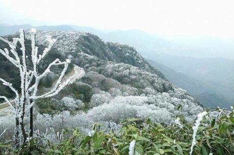 Khu vực đỉnh núi Mẫu Sơn nhiệt độ giảm xuống dưới 0 độ C