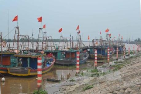 Thái Bình dành gần 200 tỷ đồng nâng bãi ổn định đê biển