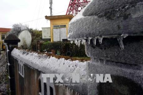 Xuất hiện băng tuyết trên đỉnh núi Phia Oắc (Cao Bằng)