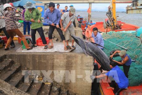 Quảng Trị sẽ chi trả bồi thường sự cố môi trường biển dứt điểm trong tháng 1/2018