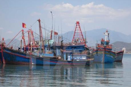 Cấp bách khắc phục “thẻ vàng” IUU