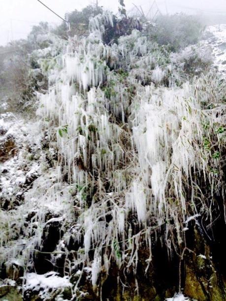 Mù Cang Chải - Yên Bái xuất hiện băng giá