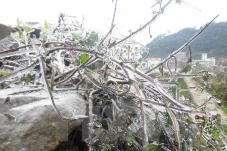 Dự báo thời tiết ngày 11/1 vẫn rét đậm, không mưa, vùng núi cao có thể băng giá