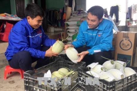 Thu nhập 500 triệu đồng/năm từ mô hình nông nghiệp công nghệ cao