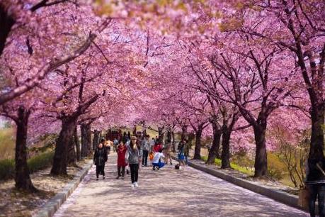 Xu hướng du lịch bằng máy bay riêng