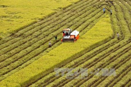 Trà Vinh giải ngân gần 19 tỷ đồng hỗ trợ tái cơ cấu ngành nông nghiệp