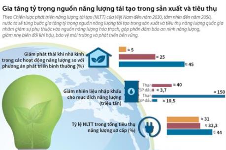 Gia tăng tỷ trọng nguồn năng lượng tái tạo trong sản xuất và tiêu thụ