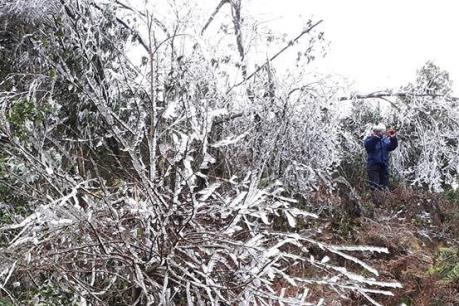 Vùng cao Mù cang Chải căng mình chống rét