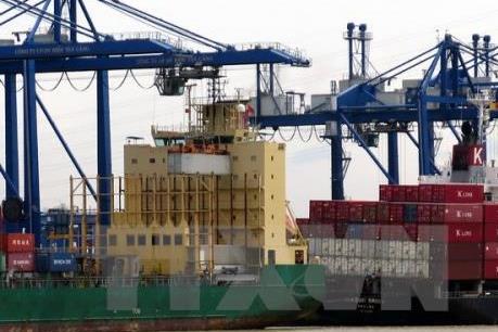 Fitch Solutions: Kinh tế Việt Nam tăng trưởng cao nhất trong 11 năm