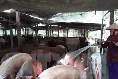 Người dân miền núi xóa đói giảm nghèo nhờ Nghị quyết 30A