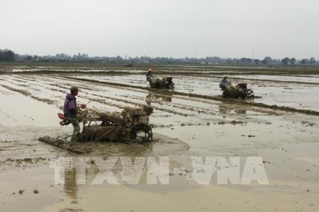 Gần 94.000 ha tại trung du và đồng bằng Bắc bộ đã có nước cho gieo cấy