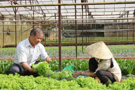 Phát triển hợp tác xã kiểu mới - Bài 2: Còn nhiều "nút thắt"