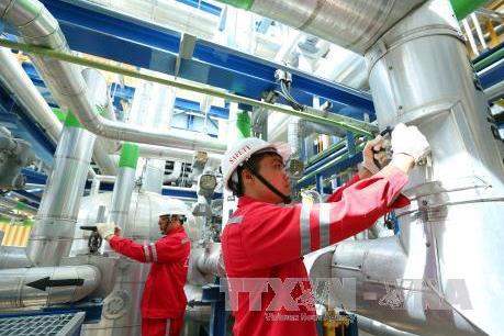 IPO hơn 468 triệu cổ phần Công ty mẹ -Tổng công ty Điện lực Dầu khí Việt Nam