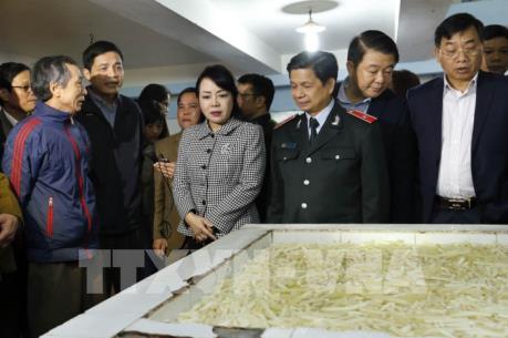 Bộ trưởng Y tế kiểm tra an toàn thực phẩm phục vụ Tết Nguyên đán