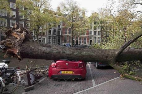 Giao thông ở Hà Lan bị tê liệt do bão