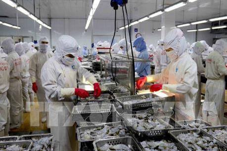 Cổ phiếu ngành tôm tăng mạnh nhờ thuế xuất vào Mỹ về 0%