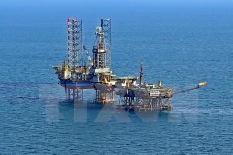 Điều lệ tổ chức và hoạt động của Tập đoàn Dầu khí Việt Nam