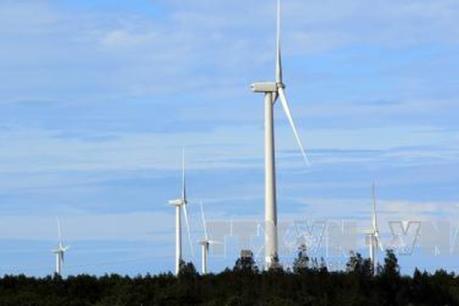 Khởi công giai đoạn 2 Dự án điện gió Đầm Nại-Ninh Thuận