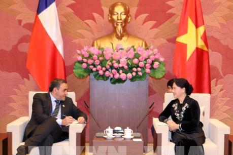 Chủ tịch Quốc hội Nguyễn Thị Kim Ngân tiếp Chủ tịch Hạ viện Chile 
