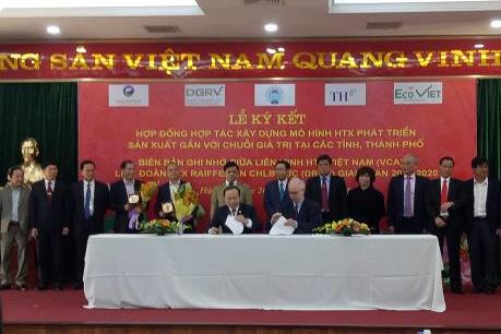 Ký kết và triển khai Đề án xây dựng mô hình hợp tác xã gắn với chuỗi giá trị