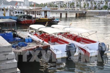 Cấm thuyền trưởng tàu du lịch hoạt động trên vịnh Hạ Long vì thu phí cao khách nước ngoài