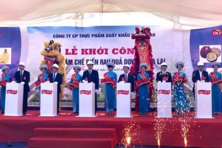 DOVECO xây dựng Trung tâm chế biến rau quả hiện đại tại Gia Lai