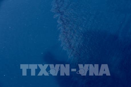 Diện tích các vệt dầu loang từ tàu đắm của Iran trên biển Hoa Đông ngày càng mở rộng