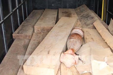 Quảng Nam bắt vụ vận chuyển 1,7 tấn gỗ hương, gỗ trắc không hóa đơn chứng từ