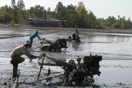 Thúc đẩy chuyển giao và ứng dụng khoa học công nghệ trong nông nghiệp