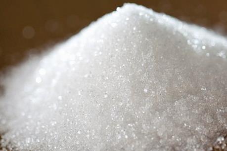 Nhà máy đường Bình Định được hoạt động thử nghiệm trước niên vụ mới