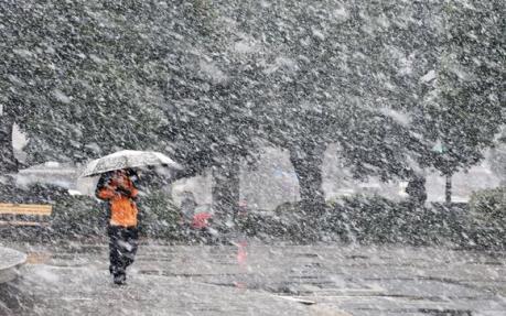 Nguy cơ lở tuyết tại Áo, giao thông ở Tokyo hỗn loạn vì tuyết