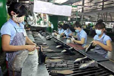 Toàn bộ công nhân Nhà máy sản xuất giày da Tam Cường đã đi làm trở lại