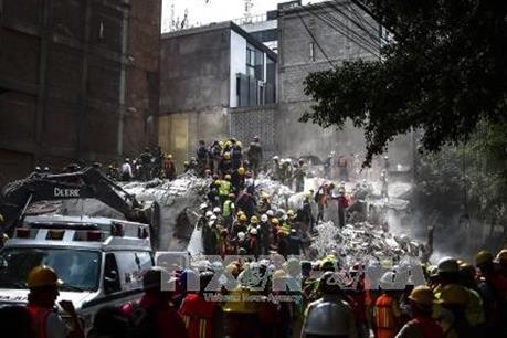 Thủ đô Jakarta, Indonesia rung chuyển vì động đất