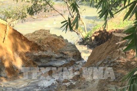 Kiểm tra dự án Nhà máy chế biến tinh bột sắn gây ô nhiễm môi trường nghiêm trọng