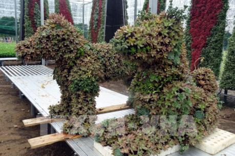 Đường hoa Nguyễn Huệ Tết Mậu Tuất 2018 có chủ đề “ Khát vọng vươn cao”