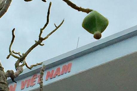 Nhật ký Trường Sa: Tổ quốc gọi tên mình