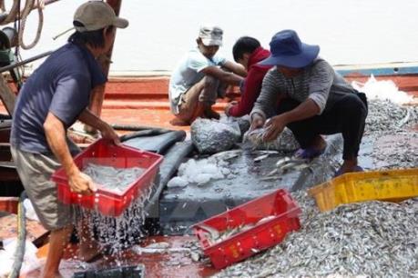 Giá trị thủy sản tăng cao nhờ đảm bảo vệ sinh an toàn thực phẩm