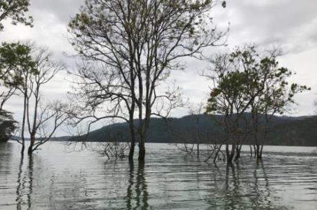  Thủy văn thuận lợi, ĐHĐ cán mốc sản lượng 70 tỷ kWh