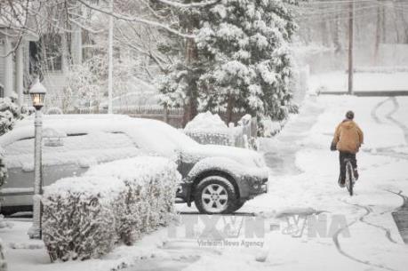 Bão tuyết nghiêm trọng khắp 20 tỉnh của Iran